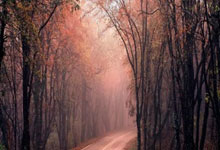 宁夏队客场告捷，延续连胜