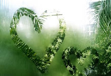 比赛中意外发生球员跌倒情况堪忧：从现场救援到长期保护的全景思考