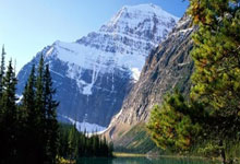 法兰克福队沉稳取胜，积分一路攀升