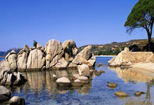 尼斯队势如破竹，战胜对手