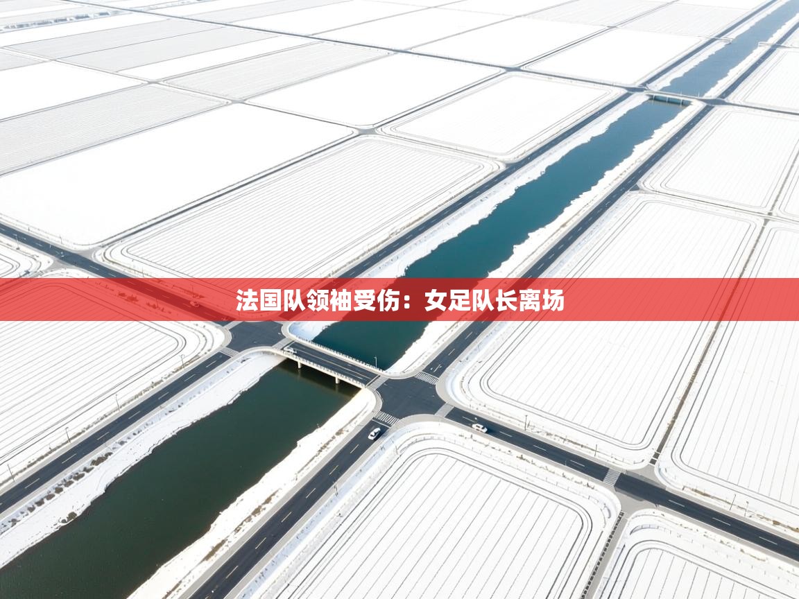 法国队领袖受伤:女足队长离场 第1张