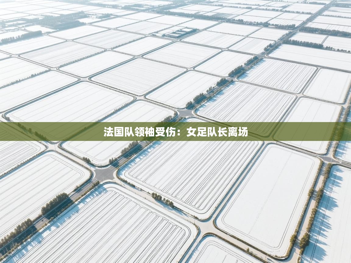 法国队领袖受伤:女足队长离场 第2张
